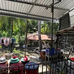 Đất mặt tiền Bờ Kè ngay trung tâm Thị xã Bình Minh 614 m2 giá 6,2 tỷ - Ảnh thu nhỏ 6