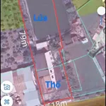 Bán nhà vườn mặt tiền Tỉnh Lộ 833B Tân Trụ 1600m2 - Ảnh thu nhỏ 3