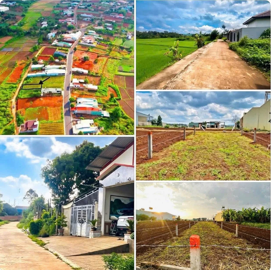 Bán đất Pleiku 135m² giá 600 triệu - Ảnh thu nhỏ 3