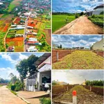 Bán đất Pleiku 135m² giá 600 triệu - Ảnh thu nhỏ 3