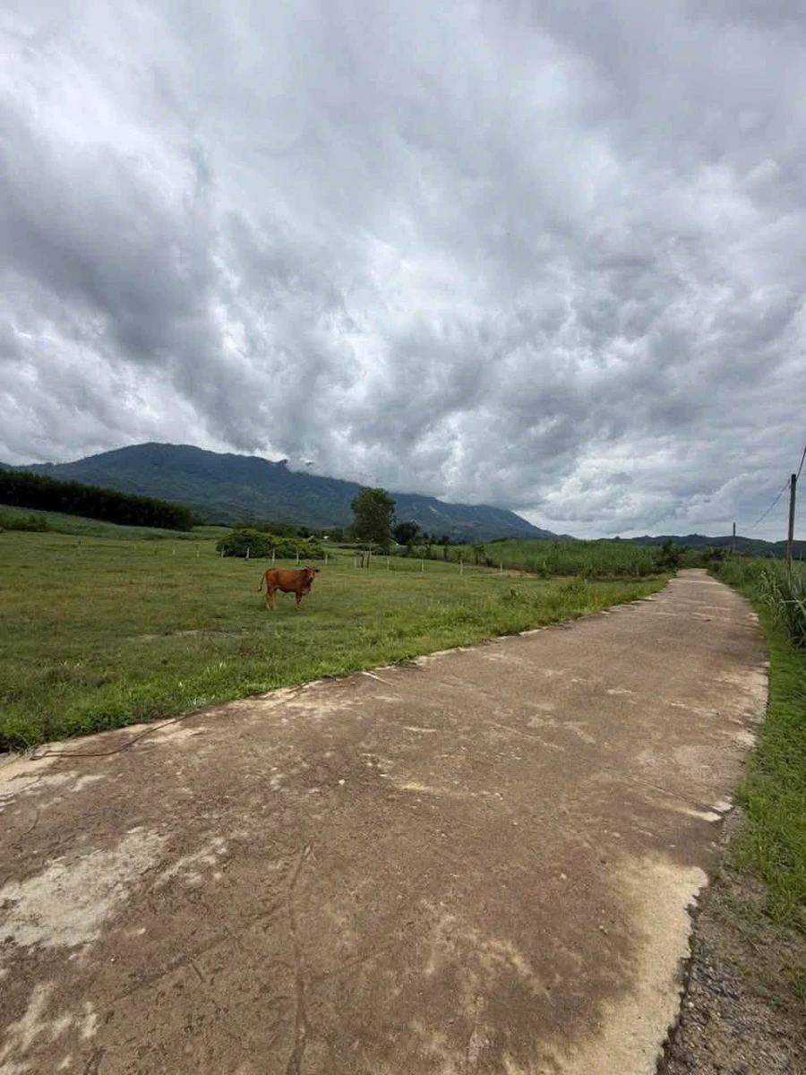 Bán 2 lô đất Khánh Thượng mỗi 1000m2 giá 199 triệu - Ảnh thu nhỏ 2