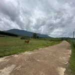 Bán 2 lô đất Khánh Thượng mỗi 1000m2 giá 199 triệu - Ảnh thu nhỏ 2