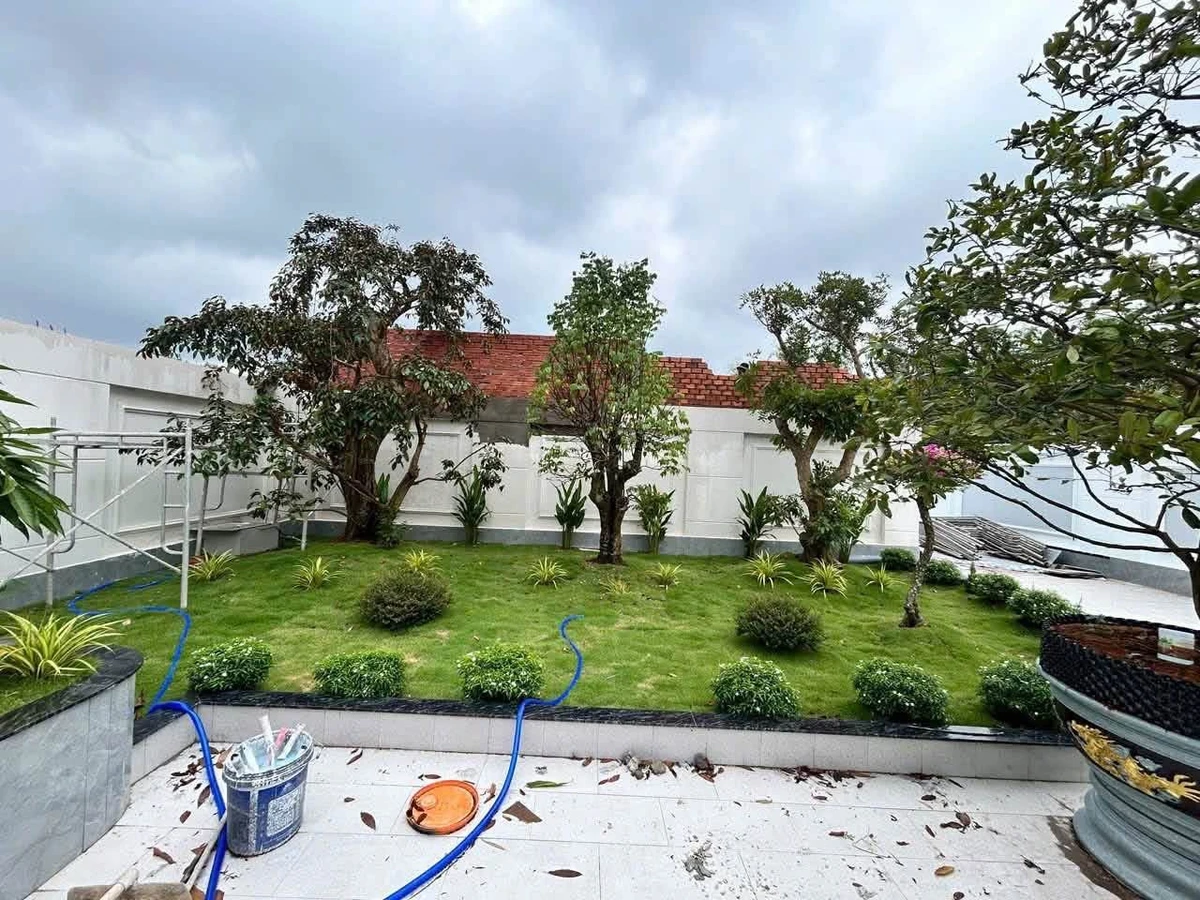 Bán nhà vườn 652 m² gần TL9, Hóc Môn - Ảnh thu nhỏ 5