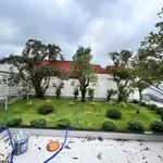 Bán nhà vườn 652 m² gần TL9, Hóc Môn - Ảnh thu nhỏ 5