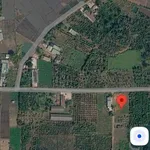 Bán đất 500m² Bình Chánh 520 triệu, sổ riêng - Ảnh thu nhỏ 3