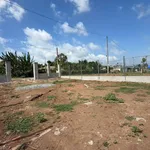 Bán lô đất góc 2 mặt tiền 226m2 Xã Đất Đỏ Bà Rịa - Vũng Tàu - Ảnh thu nhỏ 2