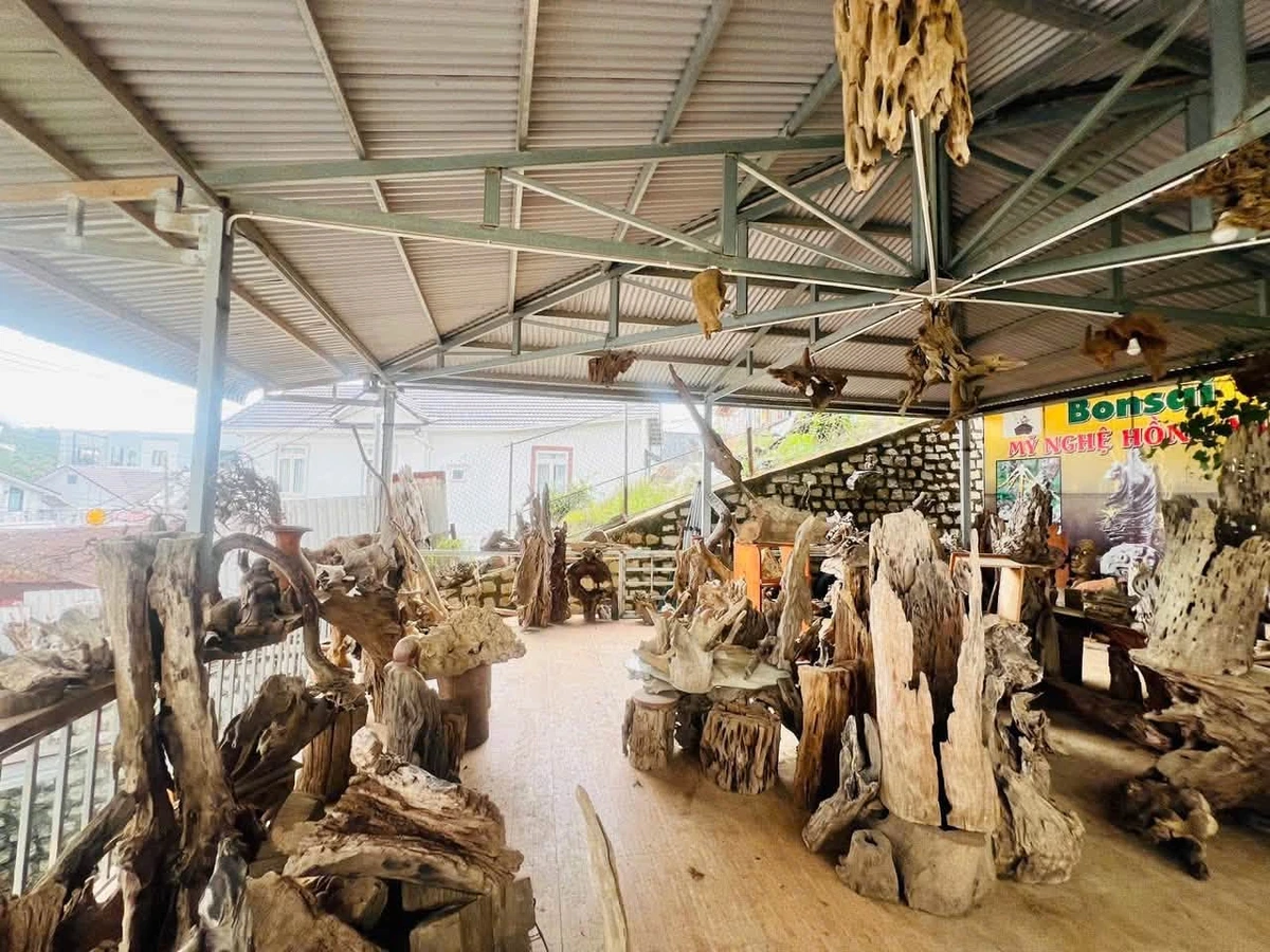 Bán đất mặt tiền Đankia 223m², Đà Lạt, 11 tỷ - Ảnh thu nhỏ 4