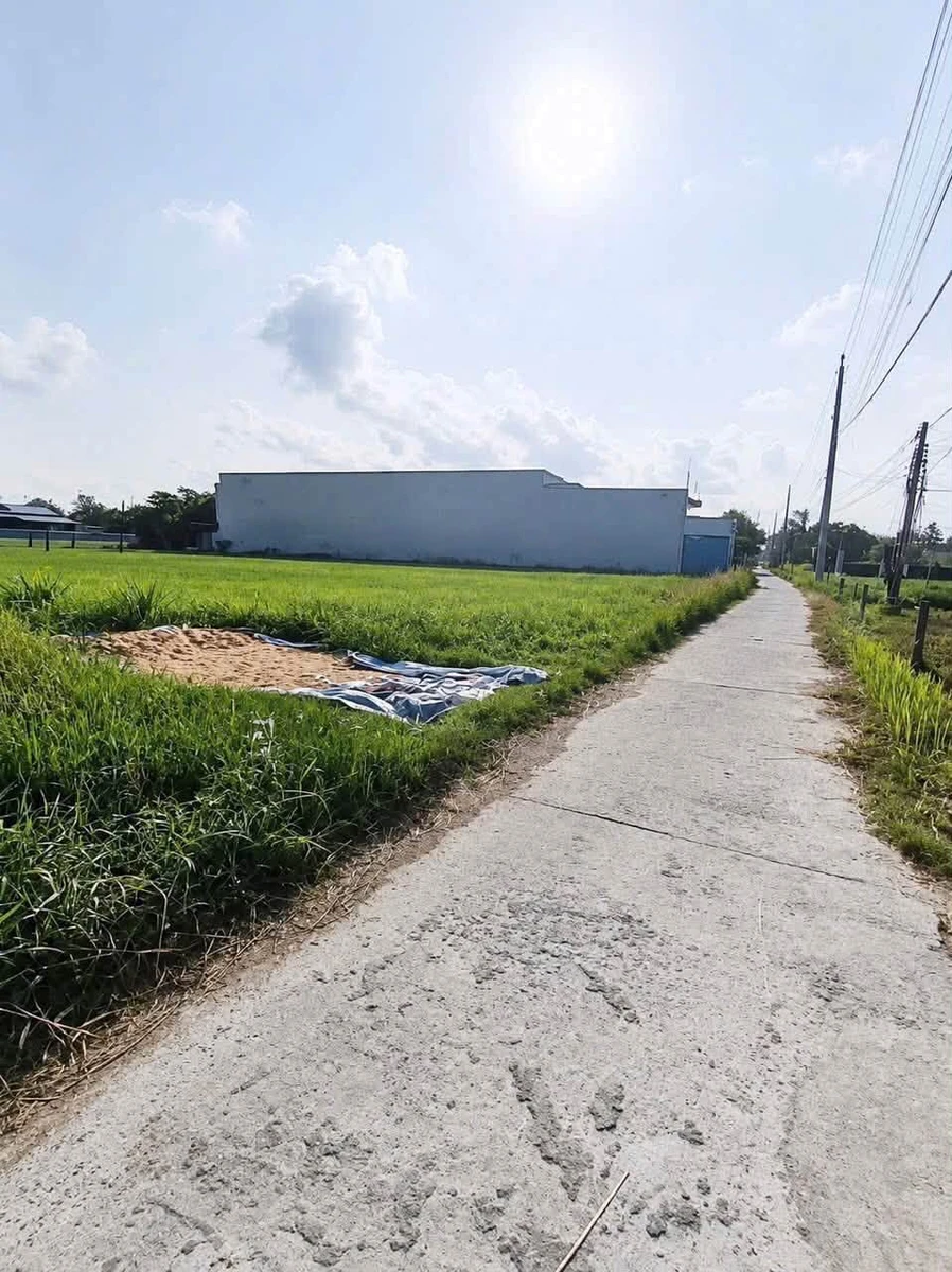 Bán lô đất thổ cư 130m² Tây Ninh 570 triệu - Ảnh 1