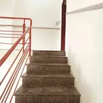 Bán nhà mặt tiền đường Số 20, Bình Tân, 60m², 4,8 tỷ - Ảnh thu nhỏ 4