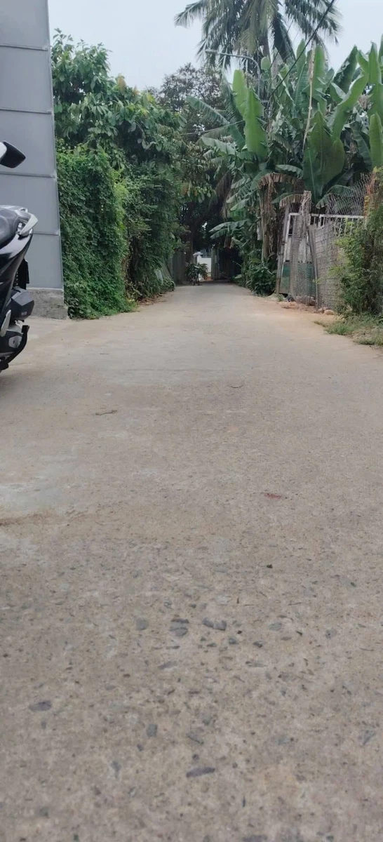 Bán đất Quận 12, 125m², 990 triệu - Ảnh thu nhỏ 2