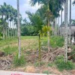 Bán đất Hành Thuận 200m² giá 380 triệu - Ảnh thu nhỏ 2