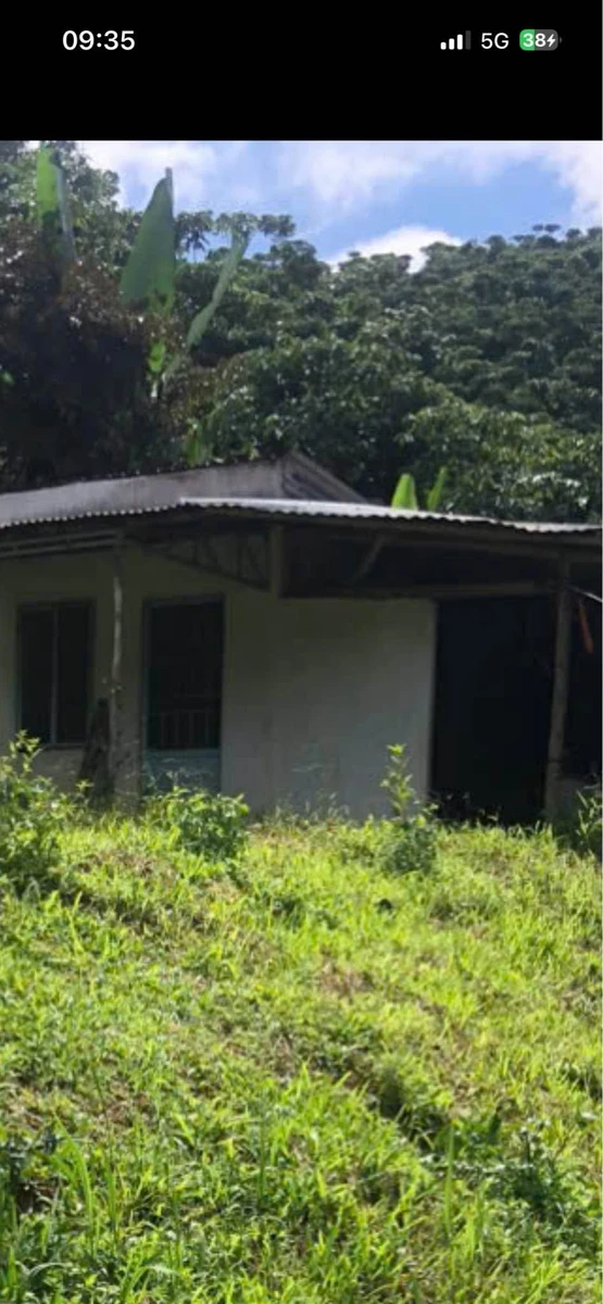 Bán vườn cà phê 1,1 ha đang thu hoạch tại Phường 3, Đại Lào, Bảo Lộc, giá 2,5 tỷ - Ảnh 1