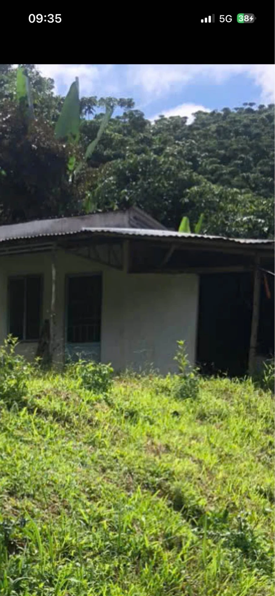 Bán vườn cà phê 1,1 ha đang thu hoạch tại Phường 3, Đại Lào, Bảo Lộc, giá 2,5 tỷ - Ảnh 1