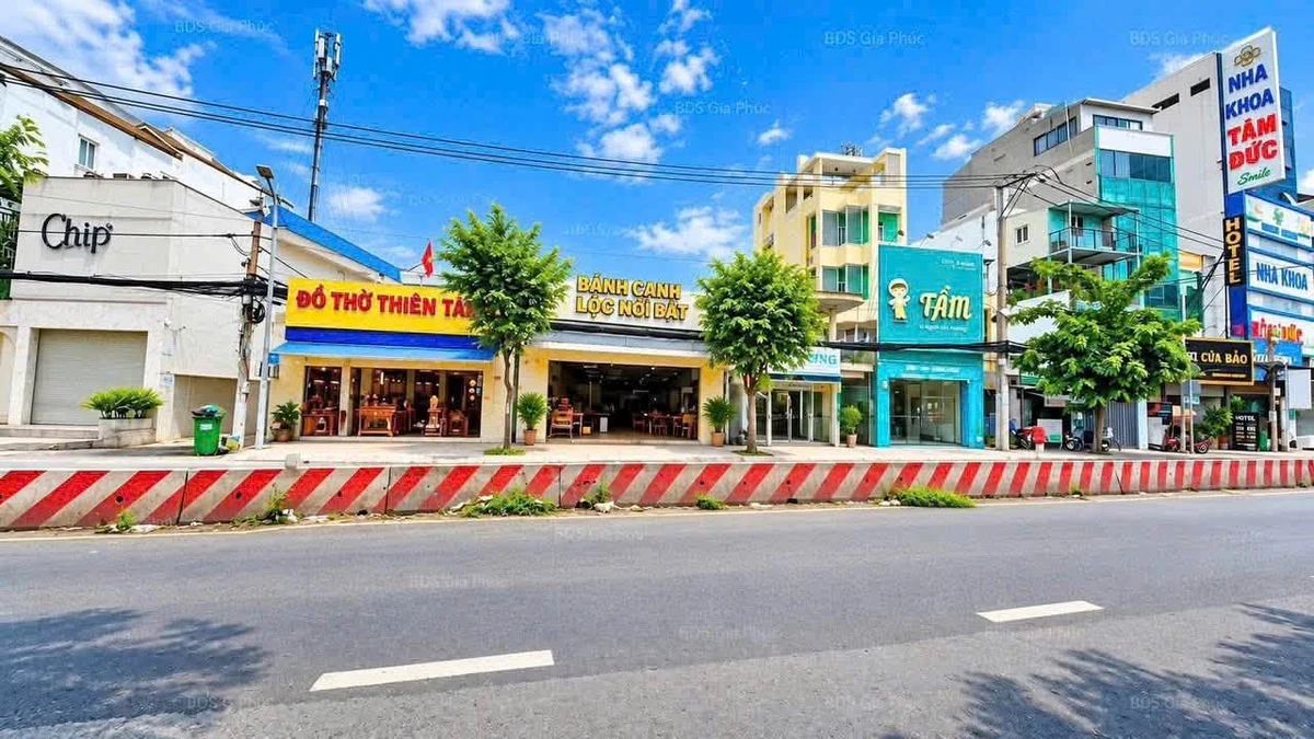 Cho thuê nhà nguyên căn mặt tiền 176m² Quận 7 - Ảnh thu nhỏ 4