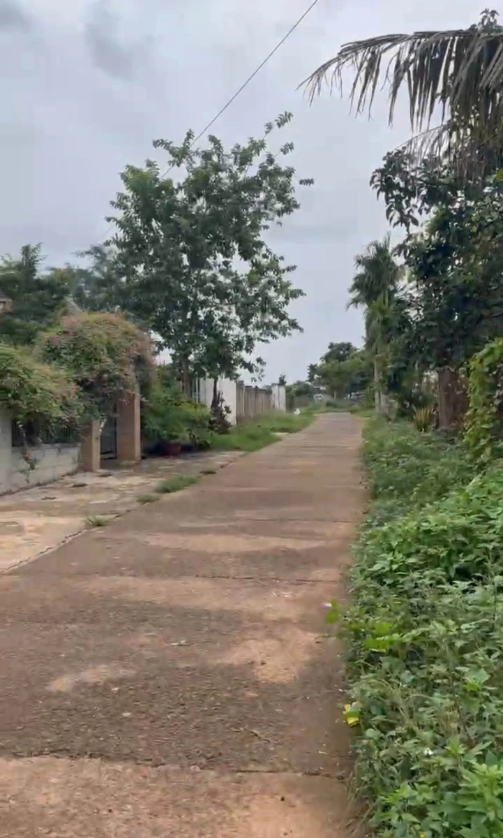 Bán đất 180m² Đắk Lắk, đường Mai Xuân Thưởng, 1 tỷ 990 triệu - Ảnh thu nhỏ 3