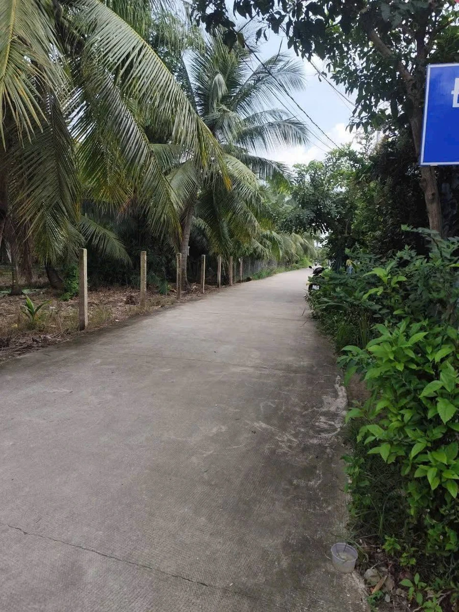 Bán nền đất thổ cư 162m² giá 550 triệu Bình Chánh - Ảnh thu nhỏ 2