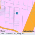Bán đất sổ riêng thổ cư Sông Trầu 2, 117m², 800 triệu - Ảnh thu nhỏ 1