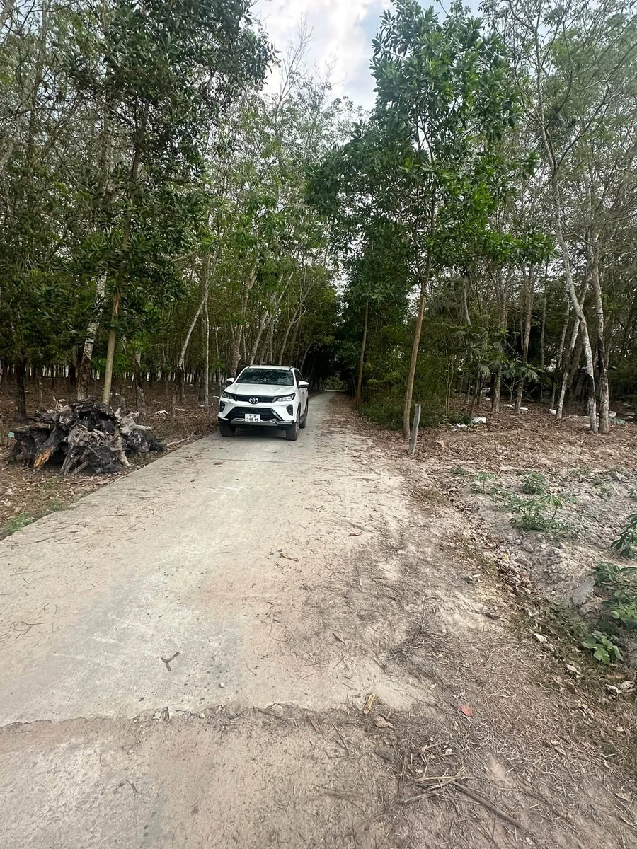 Bán đất 4700m2 Chơn Thành, 1 tỷ 350 triệu - Ảnh thu nhỏ 3