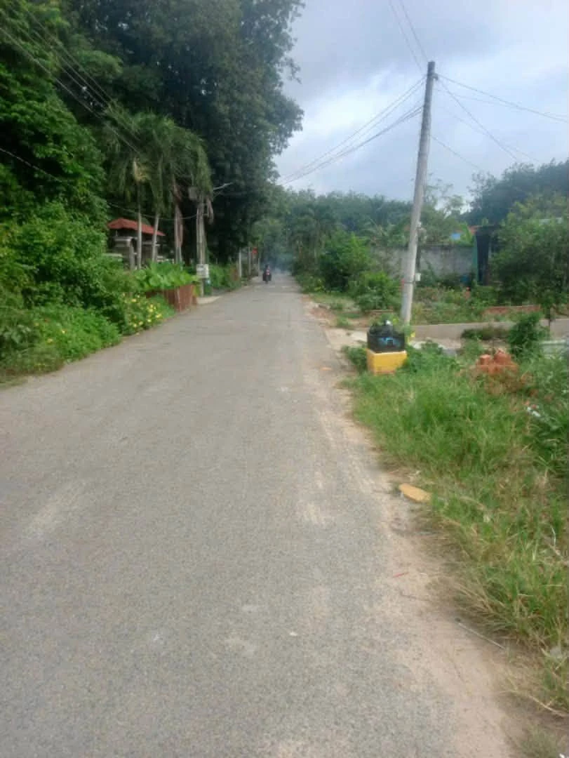 Bán lô đất 5000m² đường nhựa Phú An, Bình Dương - 3 tỷ 100 - Ảnh thu nhỏ 4