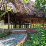 Bán đất vườn 5.400m² Bến Lức, Long An, 1,3 tỷ/1.000m² - Ảnh thu nhỏ 1