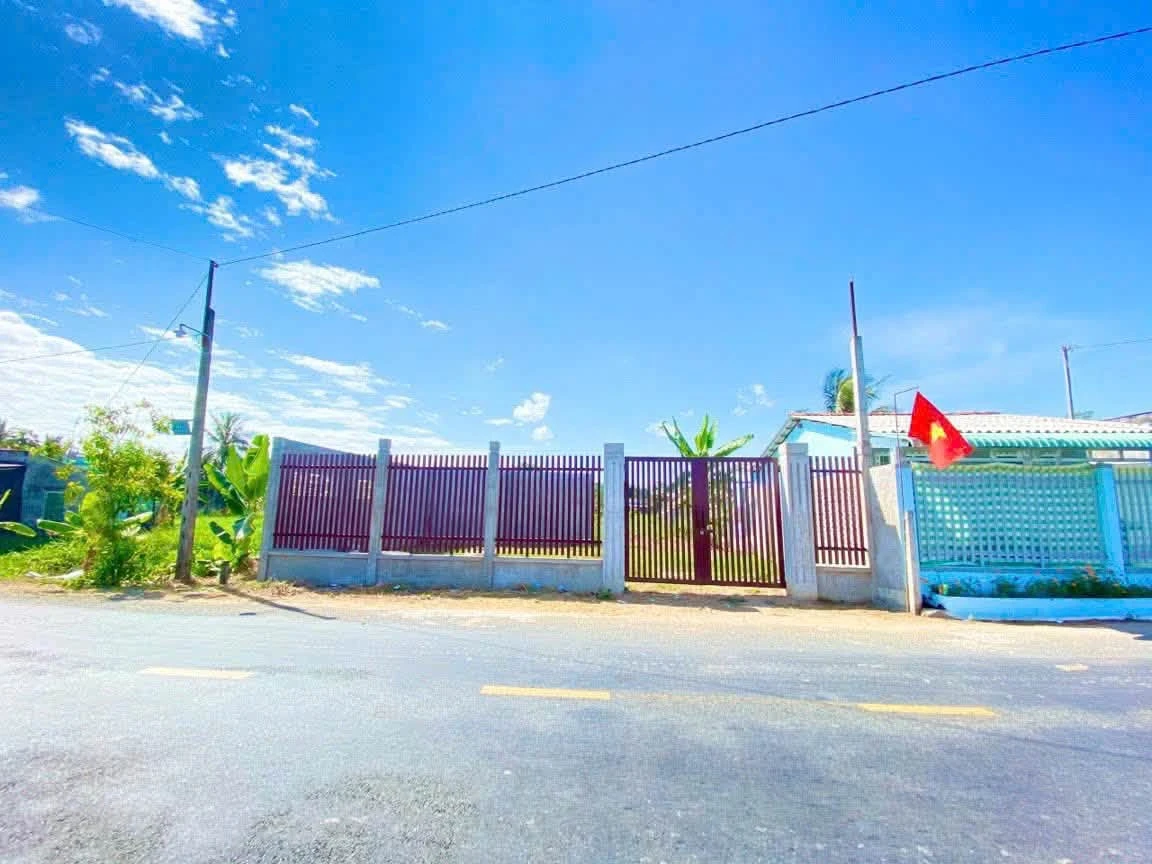 Bán đất mặt tiền 12m x 50m tại Tân An, Long An, 1 tỷ 650 triệu - Ảnh 1