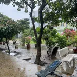 Bán đất 1008m2 ven sông Hiệp Bình Chánh, Thủ Đức giá 70 tỷ - Ảnh thu nhỏ 3