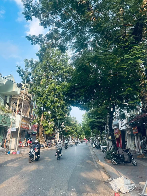Bán nhà Nguyễn Đức Cảnh 52m² giá 3,25 tỷ Hải Phòng