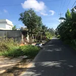 Bán đất thổ mặt tiền 5x30m tặng nhà tiền chế đường Nguyễn Kim Công, Khánh Hậu, Tây Ninh - Ảnh thu nhỏ 3