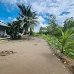 Bán đất trồng mít Thái 6835m² Đông Phước A Cần Thơ - Ảnh thu nhỏ 4