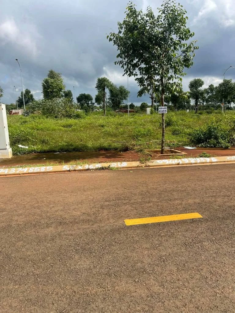 Bán đất tái định cư Nguyễn Xuân Nguyên 5,5x16,4m - Ảnh thu nhỏ 2