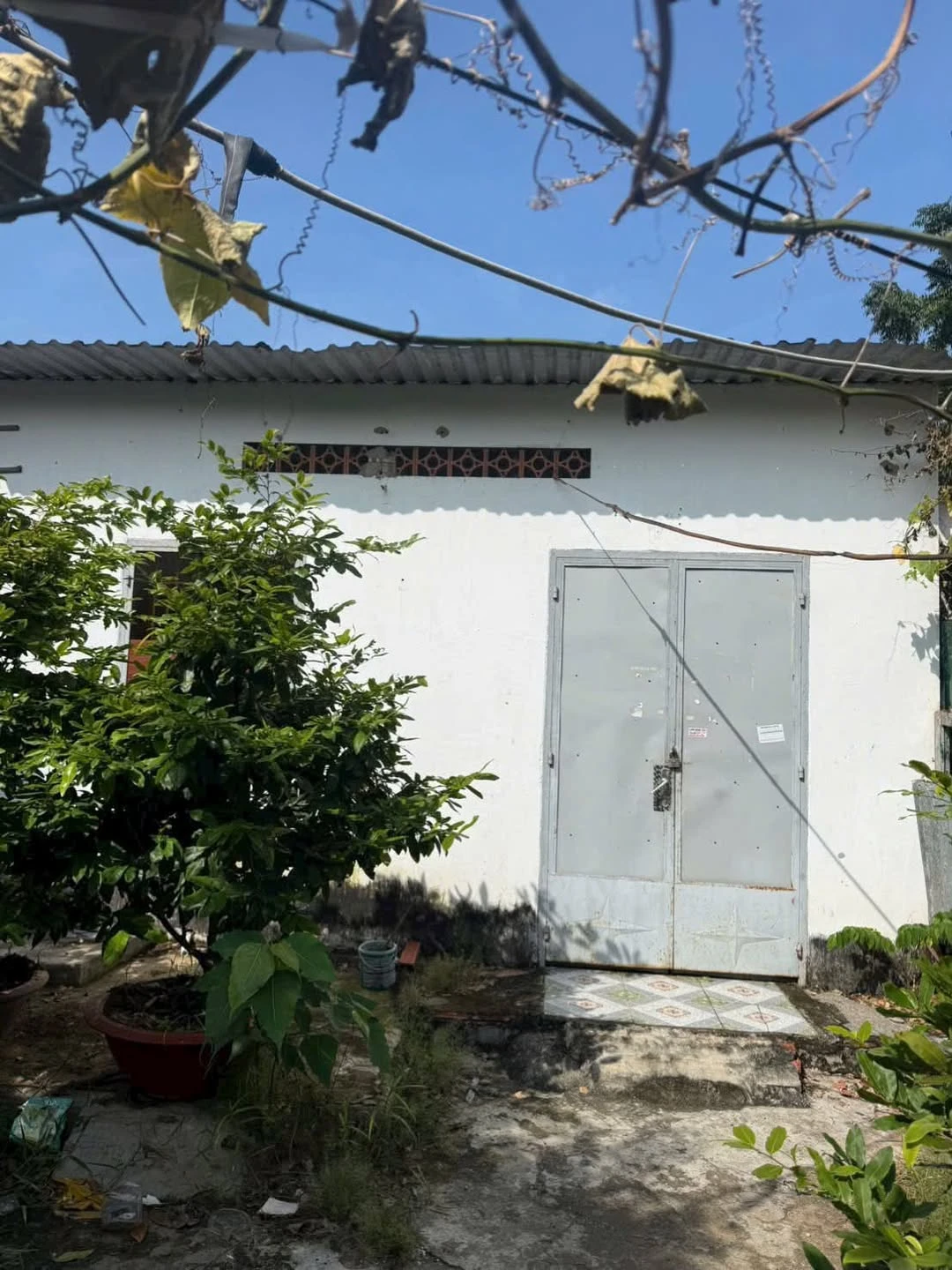 Bán nhà cấp bốn 96m² Bình Chánh gần Paradise - Ảnh 1