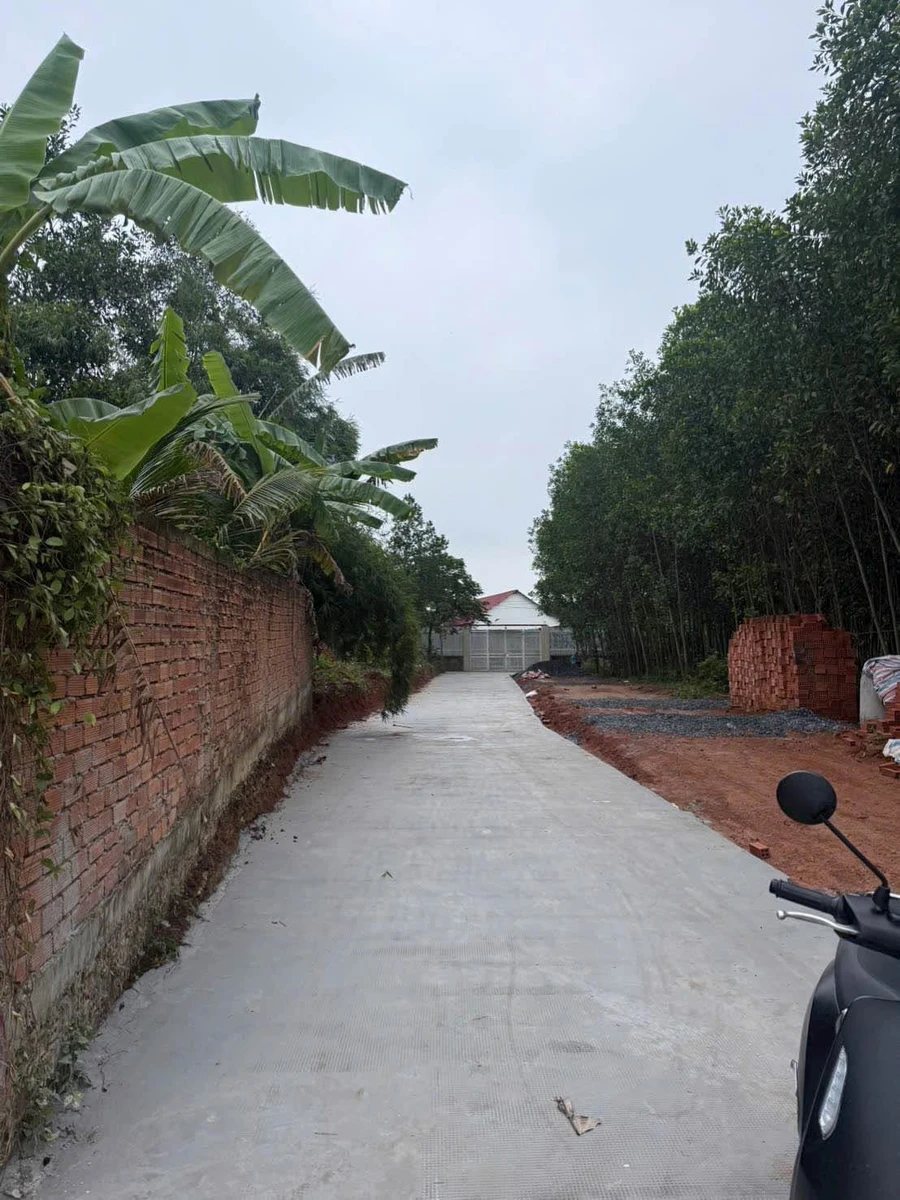 Bán đất Tân Triều 90m², 850 triệu - Ảnh thu nhỏ 5