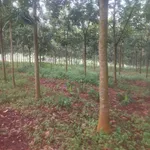 Bán đất 2,5ha Thủ Đức, giá hơn 4 tỷ - Ảnh thu nhỏ 2
