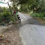 Chính chủ bán đất Ô Long Vĩ - Châu Phú, An Giang - Ảnh thu nhỏ 3