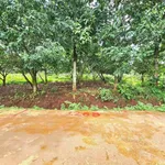 Bán vườn trái cây 250m² Tân Quan Đồng Nai - Ảnh thu nhỏ 1