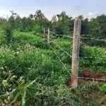 Bán đất 1 sào Hoà Xuân 40m mặt tiền 550 triệu - Ảnh thu nhỏ 2
