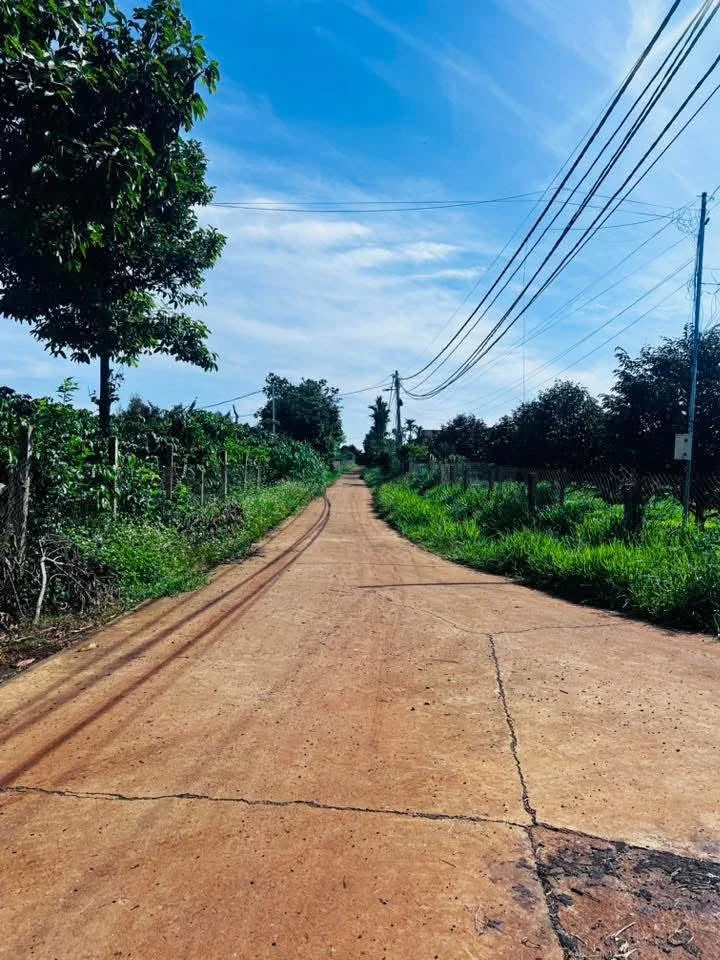 Bán đất 1000m² có nhà C4 xã Đan Phượng, Lâm Đồng 1,4 tỷ - Ảnh thu nhỏ 2