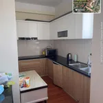 Bán chung cư đẹp, rẻ chung cư Tecco Bến Thủy - Ảnh thu nhỏ 6