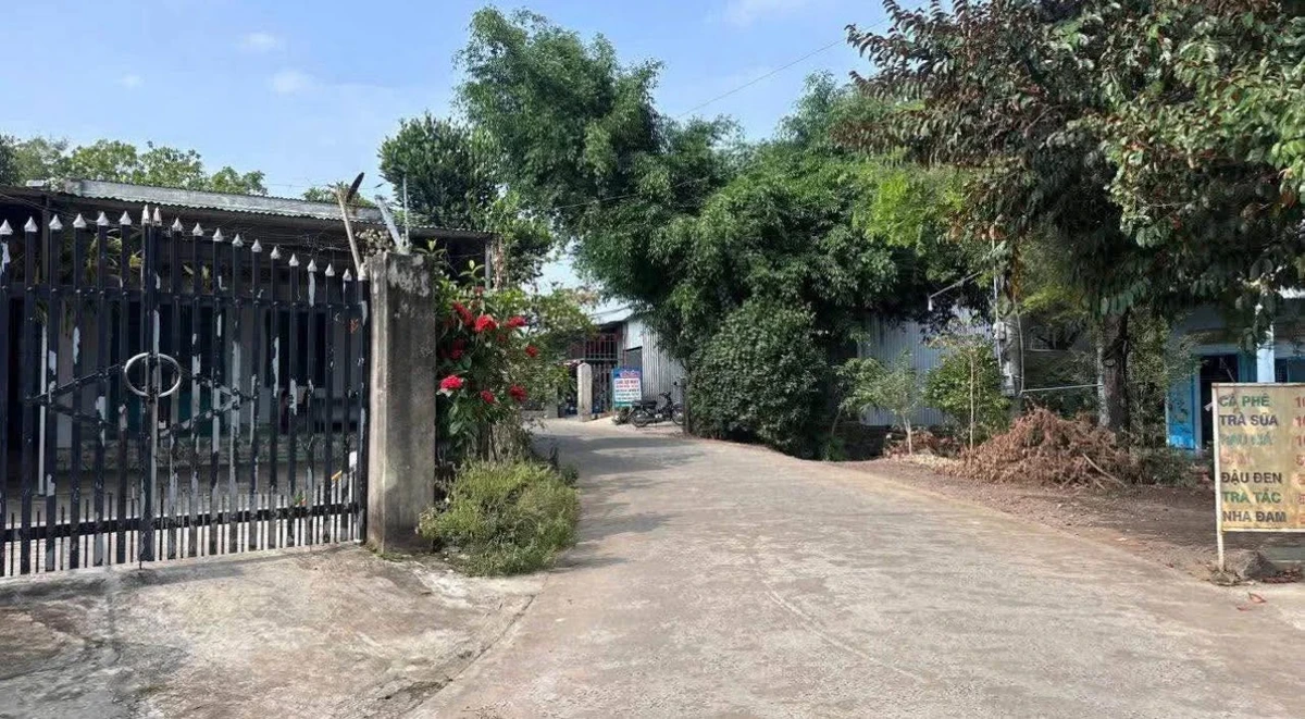 Bán đất nền 156m² Phú Thanh Tân Phú Đồng Nai 490 triệu - Ảnh thu nhỏ 3