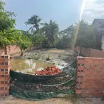 Bán đất thổ cư 5x34m sổ riêng gần UBND xã Tân Trạch, Cần Đước giá 780 triệu/lô - Ảnh thu nhỏ 3