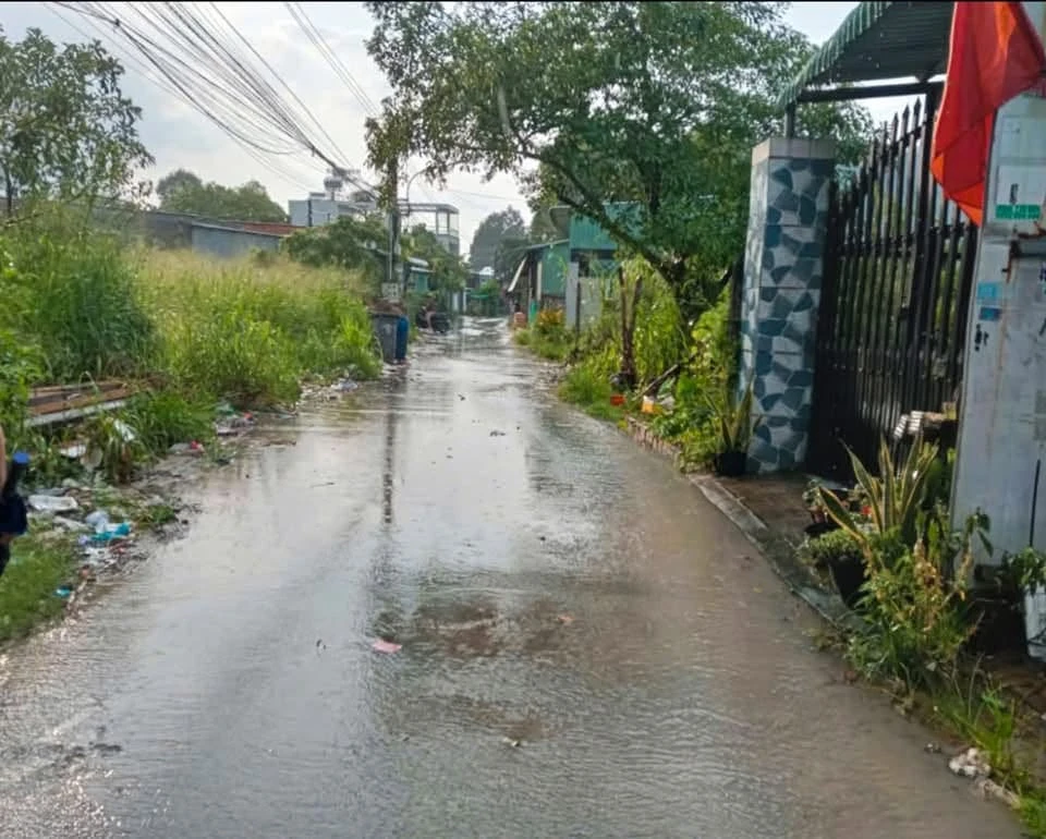 Bán đất thổ cư 330m² đầu tư Phú An Thủ Đức - Ảnh thu nhỏ 3