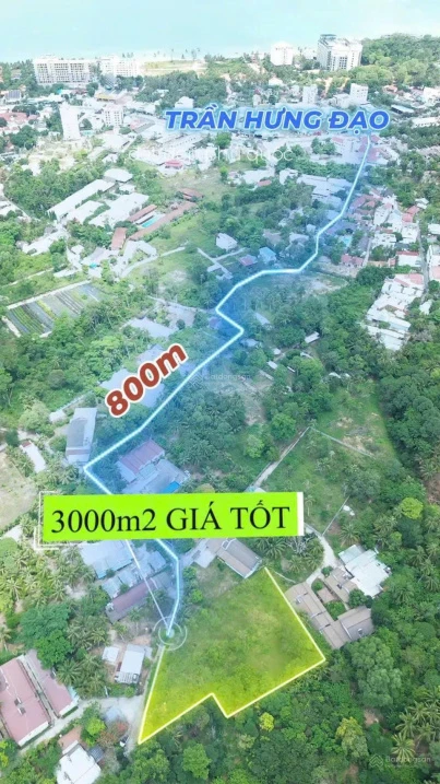 Bán 3.000m2 đất phố Tây Cửa Lấp QH đất ở chỉnh trang MT 51m giá chỉ 15tr/m2