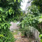 Bán nền mặt tiền Quốc lộ 95A Châu Đốc An Giang 92m² - Ảnh thu nhỏ 1