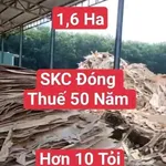 Bán xưởng sản xuất 16000m2 Dầu Tiếng, Bình Dương 18 tỷ - Ảnh thu nhỏ 1