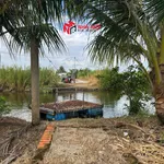Bán đất vườn 2592m² Cà Mau 1 tỷ 890 triệu - Ảnh thu nhỏ 3
