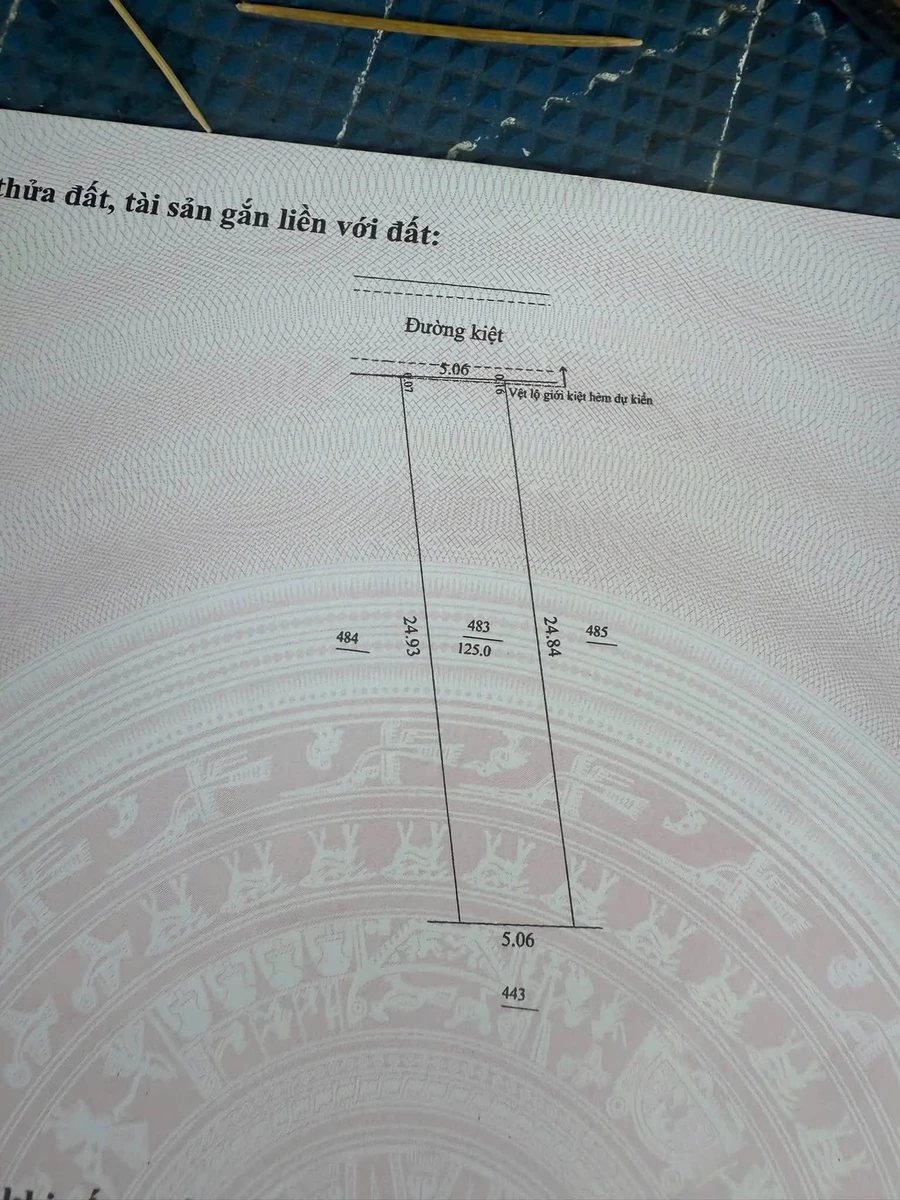 Bán lô đất kiệt ô tô 125m2 giá 1 tỷ 690 Hòa Liên - Ảnh 1