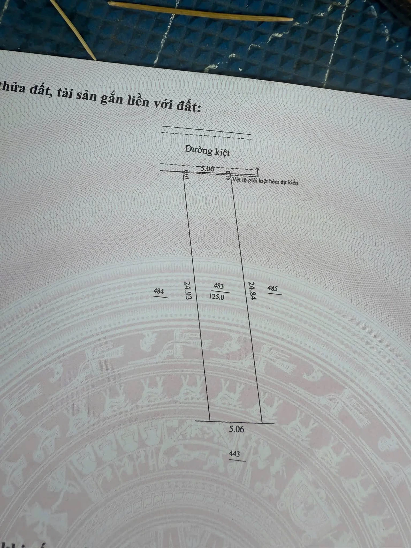 Bán lô đất kiệt ô tô 125m2 giá 1 tỷ 690 Hòa Liên - Ảnh 1