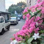 Bán nhà hẻm ôtô Bình Giã 48m² 3PN 4,1 tỷ - Ảnh thu nhỏ 1