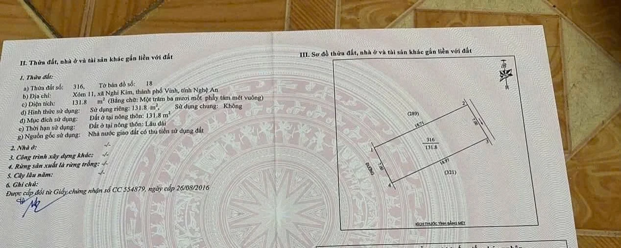 Bán nhanh lô đất mặt tiền Nhân Nghĩa 132m2, 4,6 tỷ - Ảnh 1
