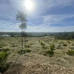 Hàng hiếm tại Xã Ea Ktur, Cư Kuin, Đắk Lắk, giá 7tỷ699//18000m2 - Ảnh thu nhỏ 1